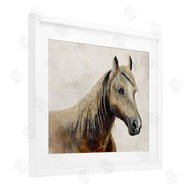 Jacob Q | Sea Biscuit Horse Portrait