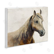 Jacob Q | Sea Biscuit Horse Portrait