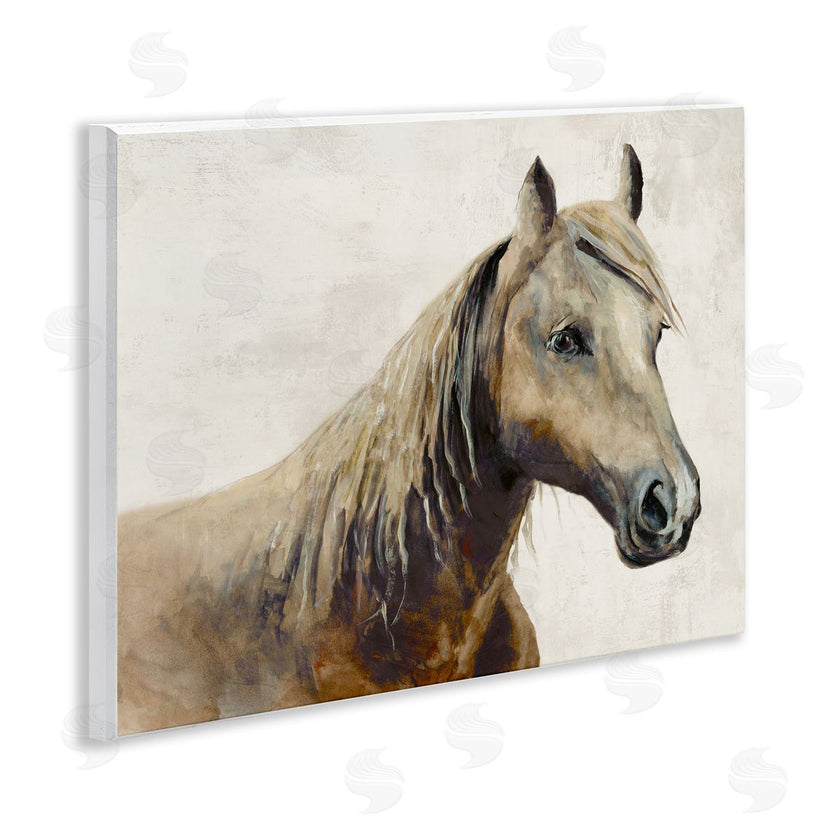 Jacob Q | Sea Biscuit Horse Portrait