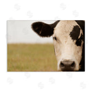 J:L Design | Rustic Cow Stare