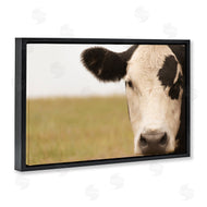 J:L Design | Rustic Cow Stare
