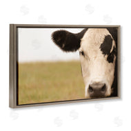 J:L Design | Rustic Cow Stare