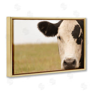 J:L Design | Rustic Cow Stare