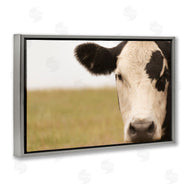 J:L Design | Rustic Cow Stare