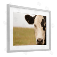 J:L Design | Rustic Cow Stare