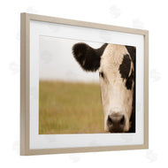 J:L Design | Rustic Cow Stare