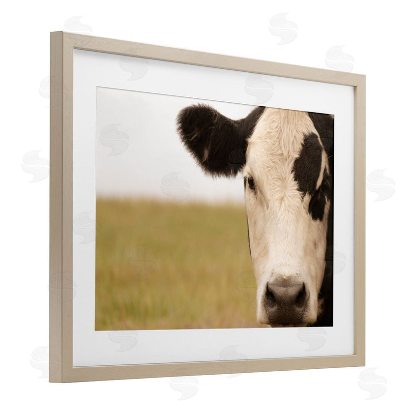 J:L Design | Rustic Cow Stare