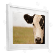 J:L Design | Rustic Cow Stare