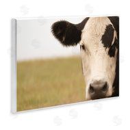 J:L Design | Rustic Cow Stare