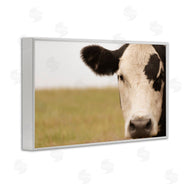 J:L Design | Rustic Cow Stare