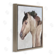 Errico & Slyp | Dry Creek Horse Portrait