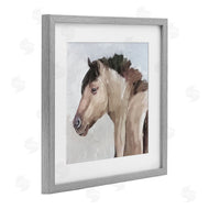 Errico & Slyp | Dry Creek Horse Portrait