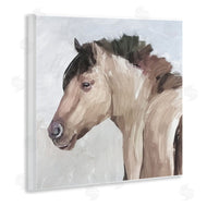 Errico & Slyp | Dry Creek Horse Portrait