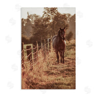 Norm Stelfox | Horse's Ranch Scene