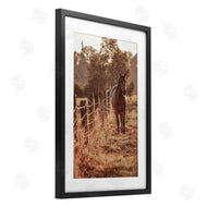 Norm Stelfox | Horse's Ranch Scene