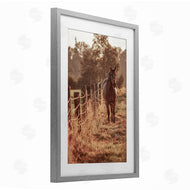 Norm Stelfox | Horse's Ranch Scene