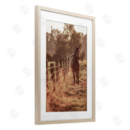Norm Stelfox | Horse's Ranch Scene