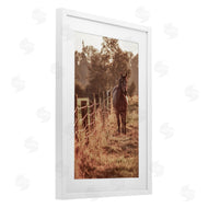 Norm Stelfox | Horse's Ranch Scene