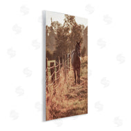 Norm Stelfox | Horse's Ranch Scene