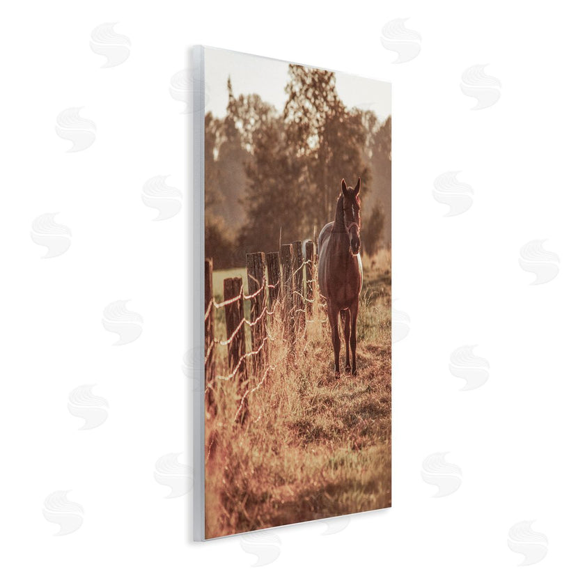 Norm Stelfox | Horse's Ranch Scene