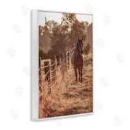 Norm Stelfox | Horse's Ranch Scene