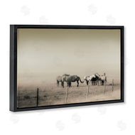 Roberta Murray | The Herd Monochrome Horses