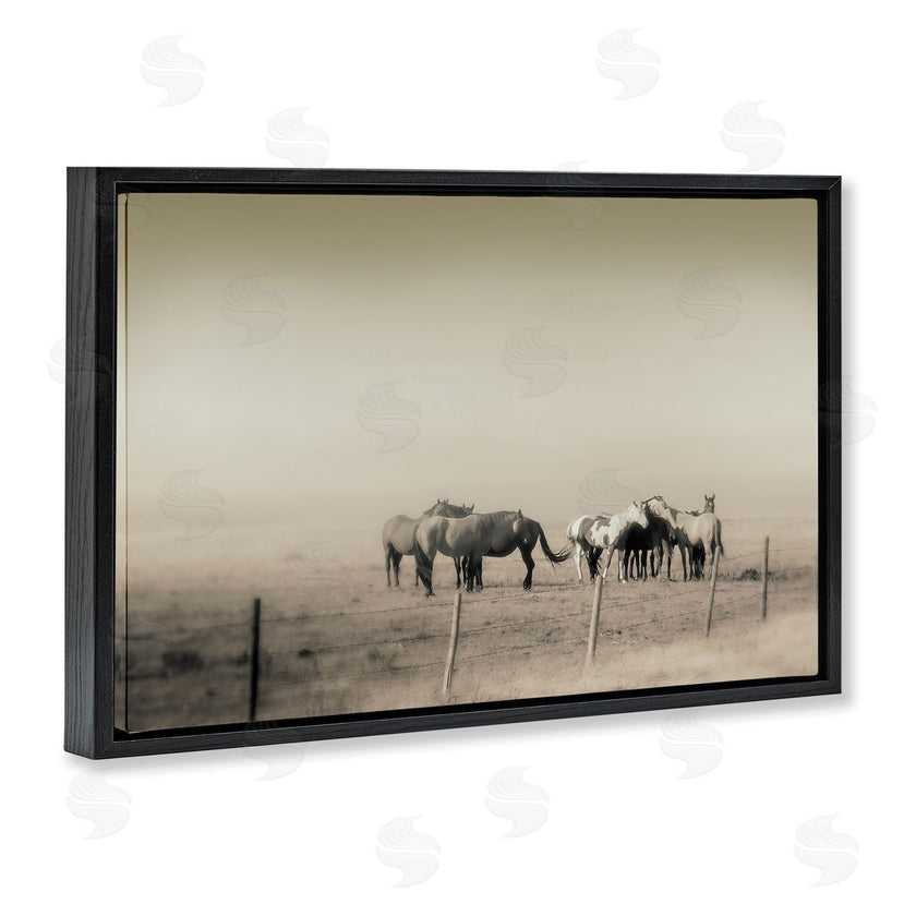 Roberta Murray | The Herd Monochrome Horses
