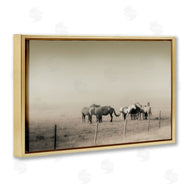 Roberta Murray | The Herd Monochrome Horses