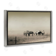 Roberta Murray | The Herd Monochrome Horses