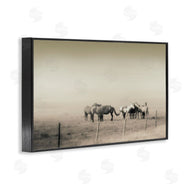Roberta Murray | The Herd Monochrome Horses