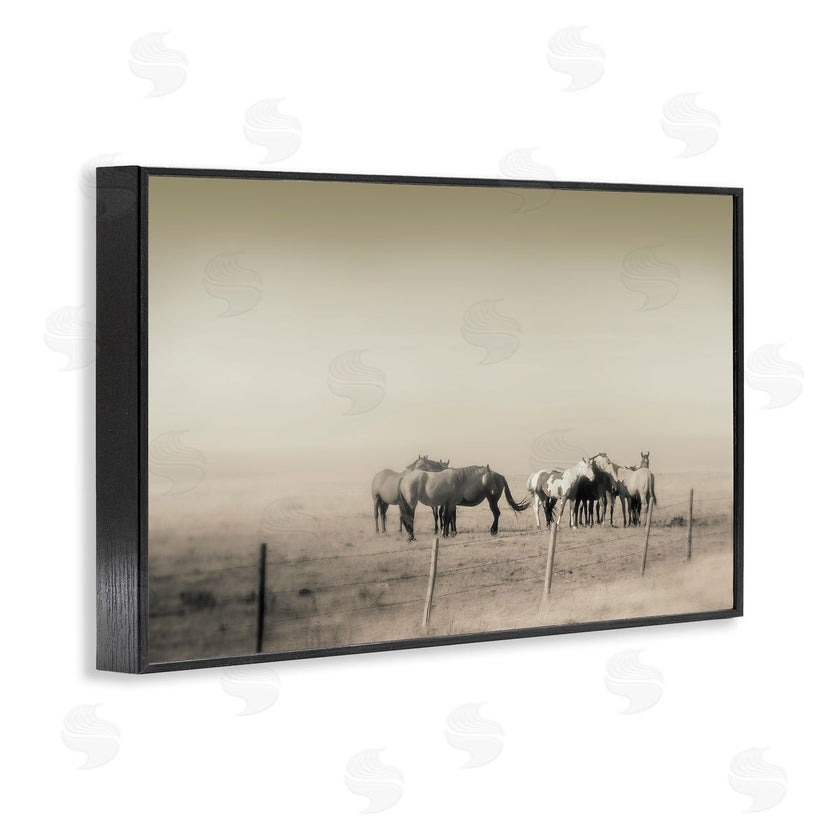 Roberta Murray | The Herd Monochrome Horses
