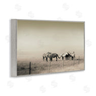 Roberta Murray | The Herd Monochrome Horses