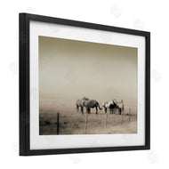 Roberta Murray | The Herd Monochrome Horses