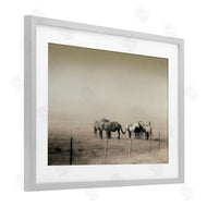 Roberta Murray | The Herd Monochrome Horses