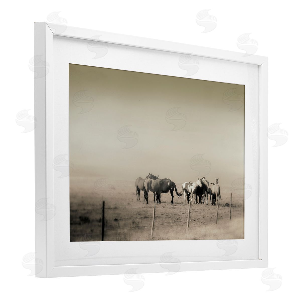 Roberta Murray The Herd Monochrome Horses Canvas Wall Art Print