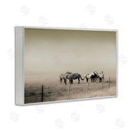 Roberta Murray | The Herd Monochrome Horses