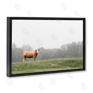 J:L Design | Highland Grace Cattle