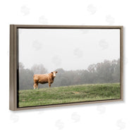 J:L Design | Highland Grace Cattle