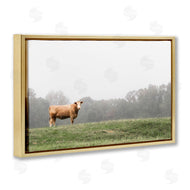 J:L Design | Highland Grace Cattle