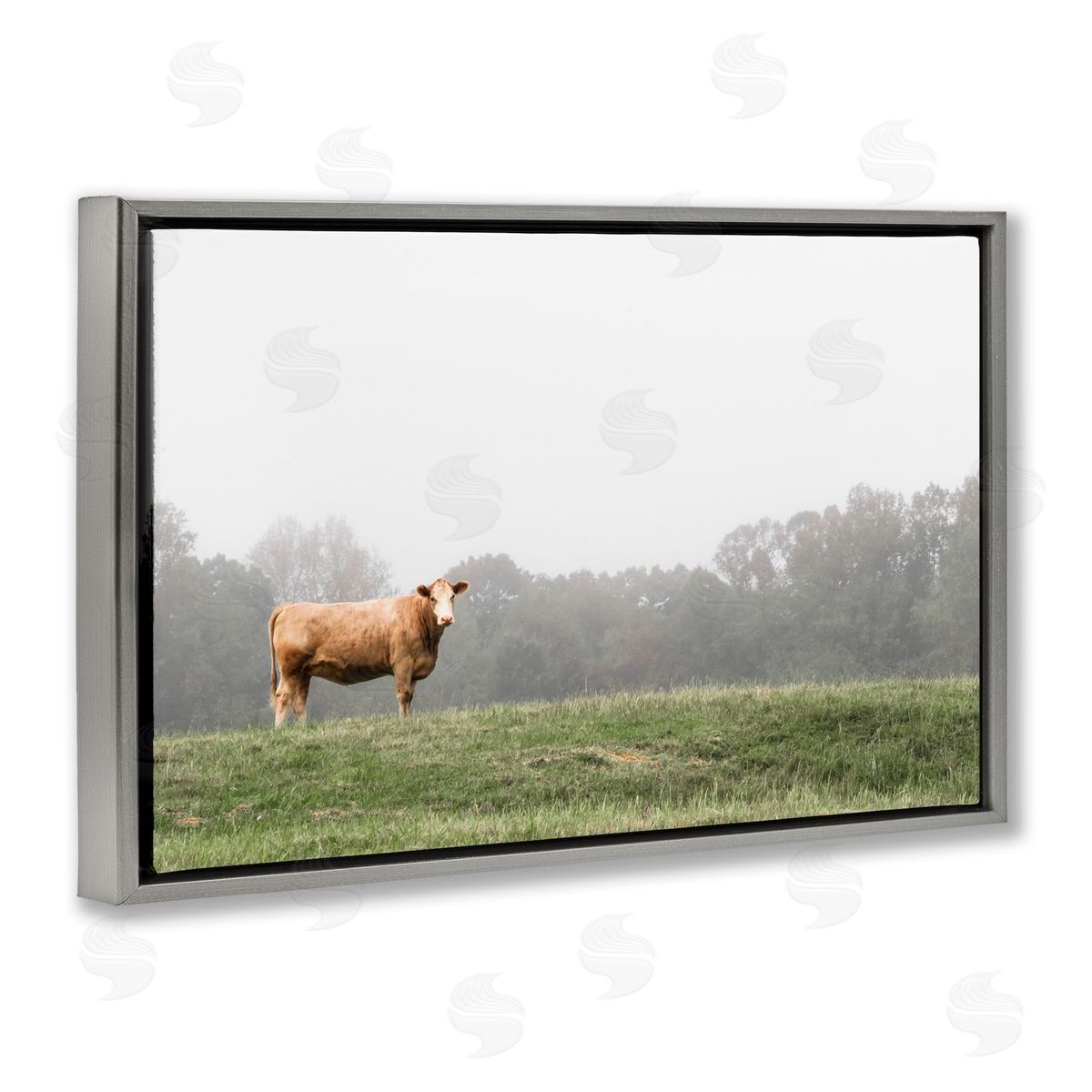 J:L Design Highland Grace Cattle Canvas Wall Art Print