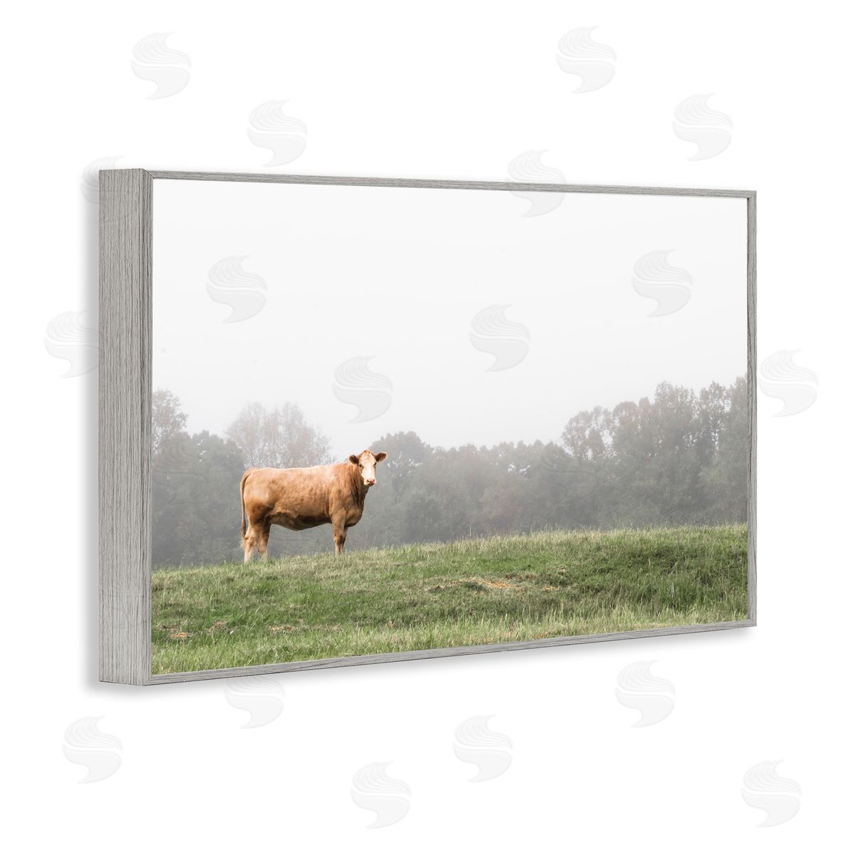 J:L Design Highland Grace Cattle Canvas Wall Art Print