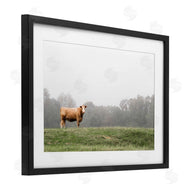 J:L Design | Highland Grace Cattle