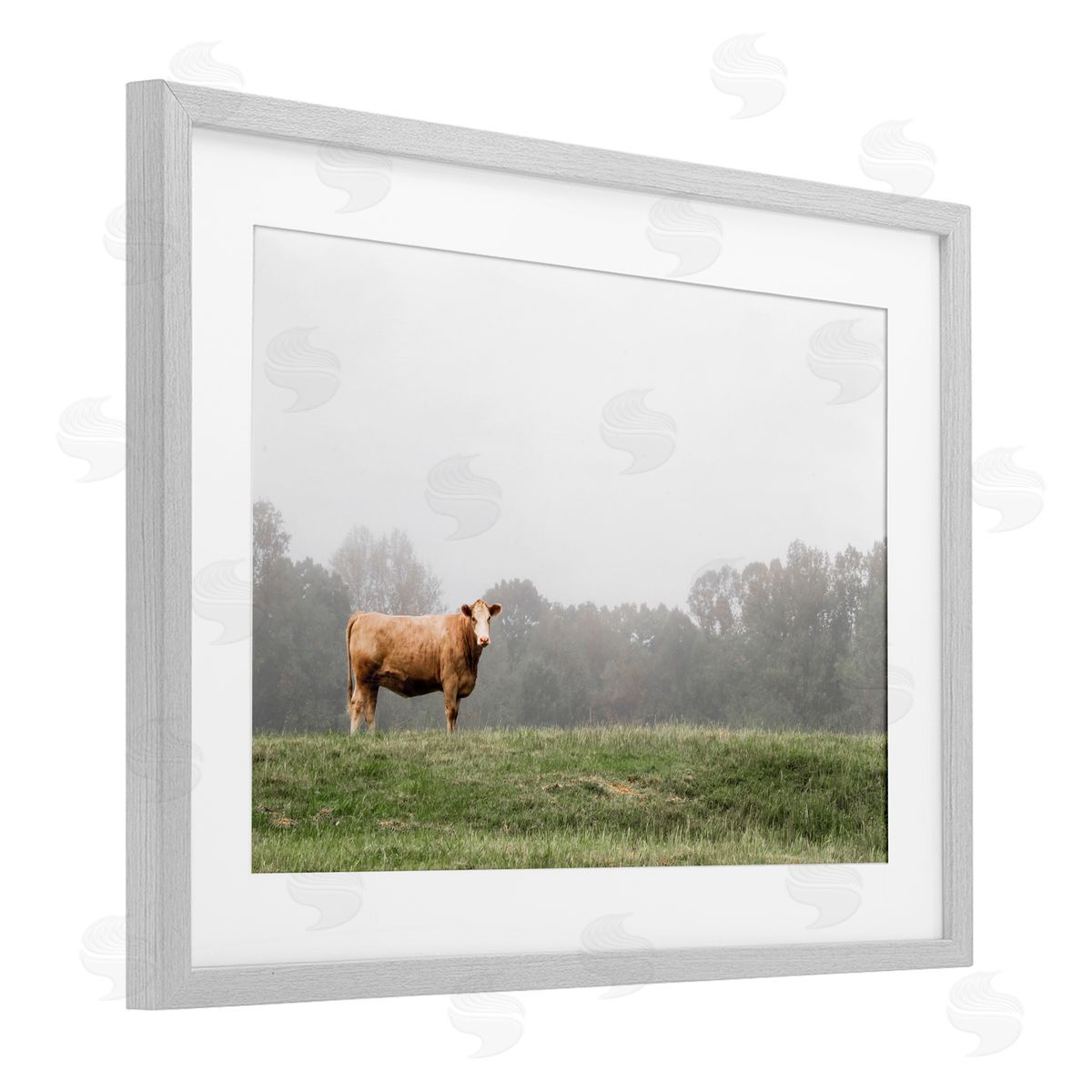 J:L Design Highland Grace Cattle Canvas Wall Art Print