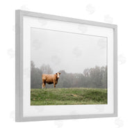 J:L Design | Highland Grace Cattle