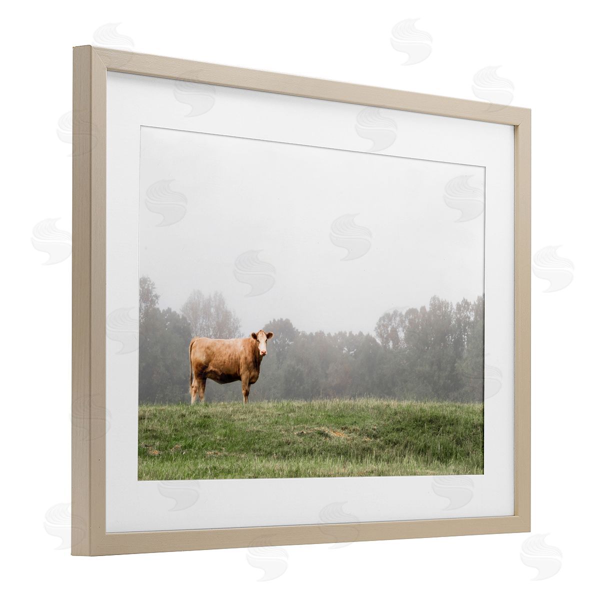 J:L Design Highland Grace Cattle Canvas Wall Art Print