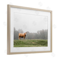 J:L Design | Highland Grace Cattle