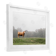J:L Design | Highland Grace Cattle