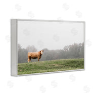 J:L Design | Highland Grace Cattle
