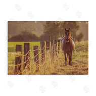 Norm Stelfox | Horse's Farm at Dawn