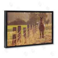 Norm Stelfox | Horse's Farm at Dawn